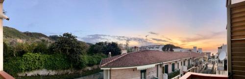 The Queen Tropea - image 4