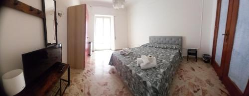 Framamired, Palermo