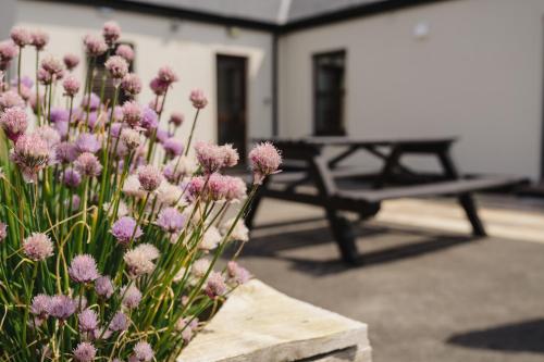 Creevy Cottages