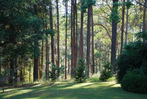 สภาพแวดล้อมโดยรอบ, The Bower at Wildside Sanctuary in เคอราจอง ไฮจ์