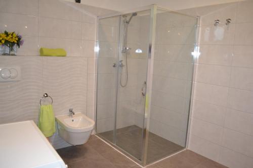 One Bedroom Apartment with Loggia image 8