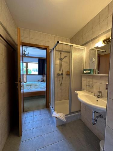 Hotel Alpina nature-wellness - image 6