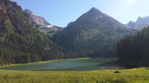 HERZLI-CHALET über dem Rheintal mit Schlossblick