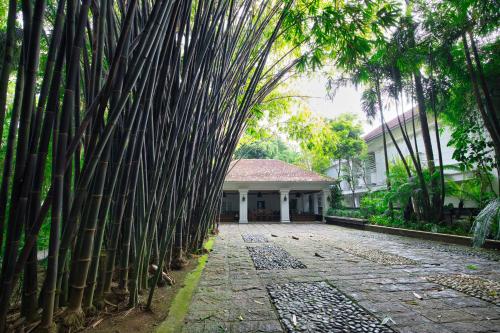 Softouch Ayurveda Village Kerala