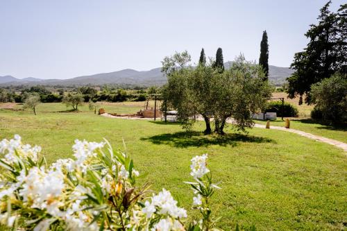 Agriturismo Giù al Pozzo