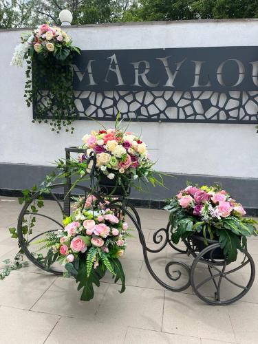 Vila Marylou Eforie Nord photo