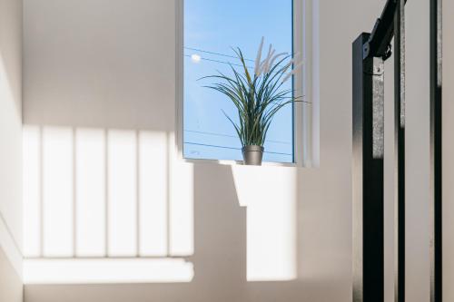 Gallery Sohee's House