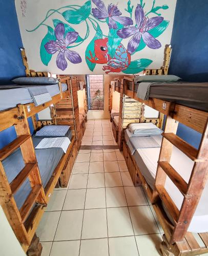 Chapada Backpackers Hostel Agência