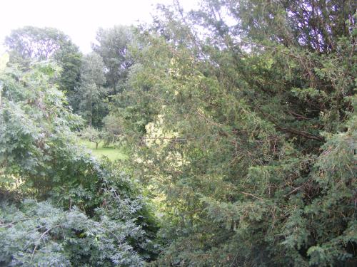 Les Lilas Des Deux Ponts - image 6