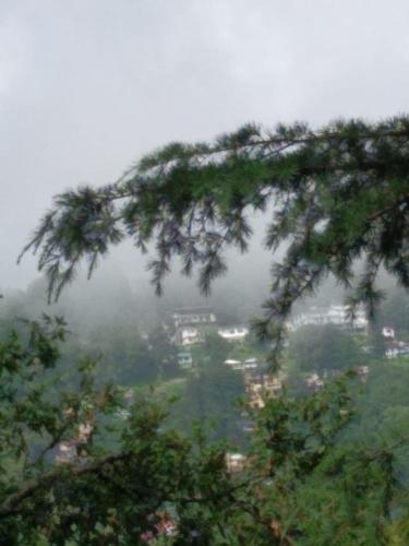 Bhawani Kutir Villa Nainital