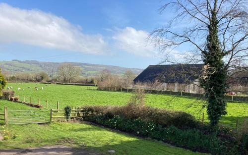 Ashes Farm Cottage in Musbury