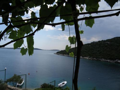 Beachfront apartments Ljubljeva - Location saisonnière - Vinišće