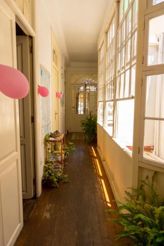 ทัศนียภาพ, Hostel Albergue La Casa Encantada in ลาพัลมา