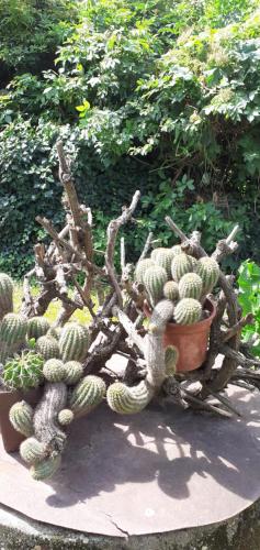  Marika vendégház in Abádszalók