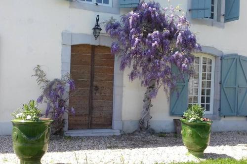 La Maison de l Evêque d'Ozenx - Location saisonnière - Ozenx-Montestrucq