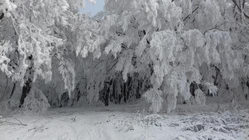 Surrounding environment, Erdei Vendeghaz in Zirc