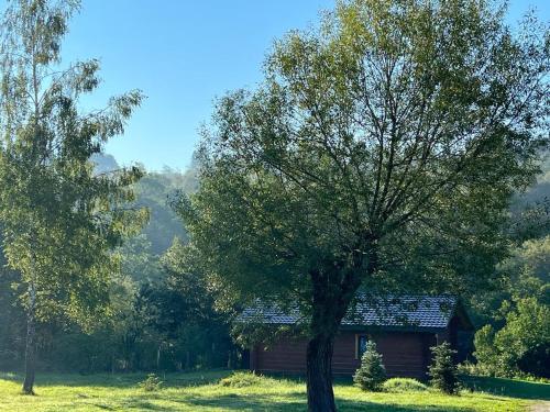 Bieszczady Domki w Dolinie Sanu