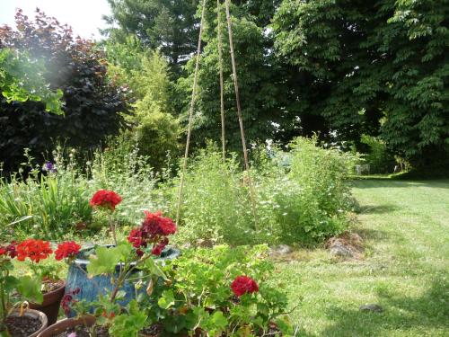 Dārzs, Rendez-vous au jardin in Vinay (Rhone-Alpes)