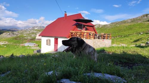 Katun Kuline - image 4