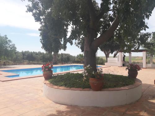 Finca Castellares