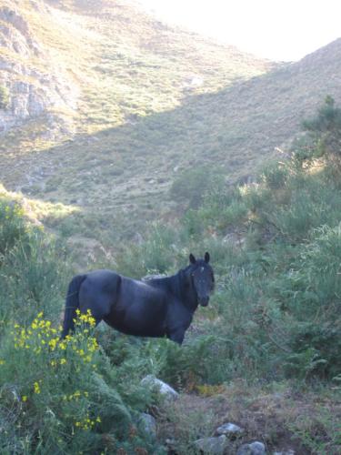  San leone. Secluded barn in Tortorici