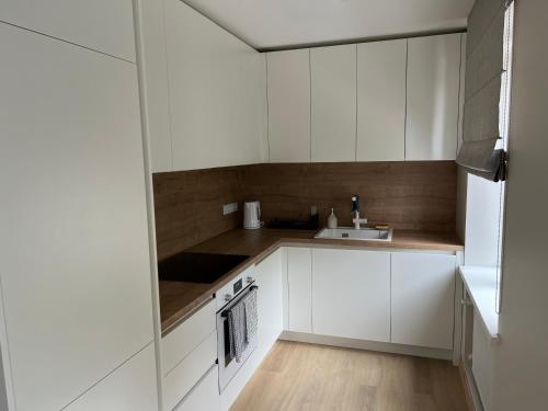 Roja Lux Apartment in Roja