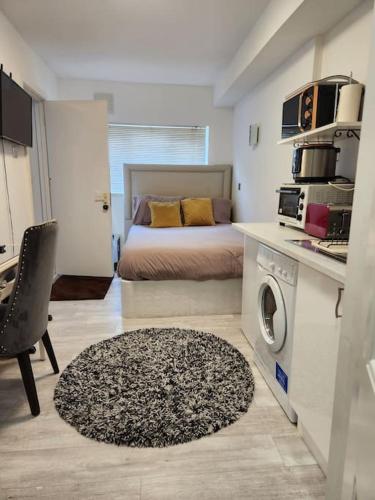 Studio Flat, close to o2 Arena and City Airport, Woolwich (фото 10)