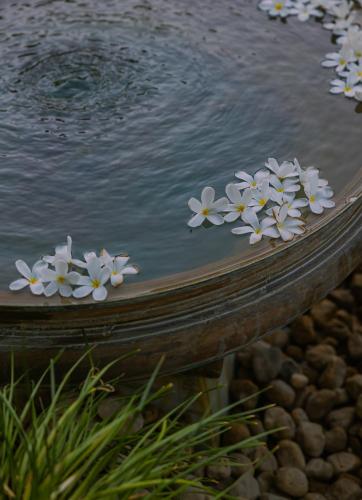 472906142 The Rawla Narlai - A Luxury Heritage Stay in Leopard Country