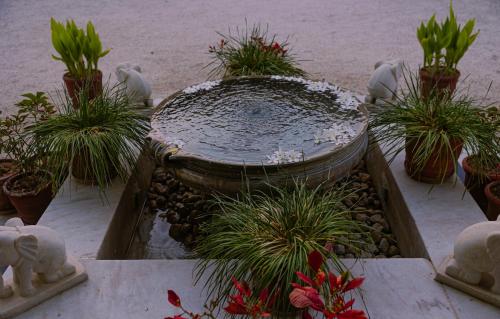 472907043 The Rawla Narlai - A Luxury Heritage Stay in Leopard Country