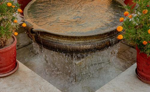 472907119 The Rawla Narlai - A Luxury Heritage Stay in Leopard Country