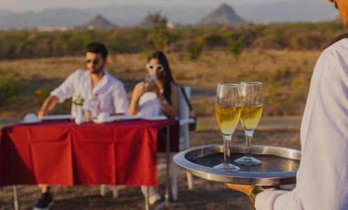 472908355 The Rawla Narlai - A Luxury Heritage Stay in Leopard Country