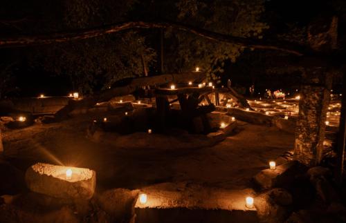 472908527 The Rawla Narlai - A Luxury Heritage Stay in Leopard Country
