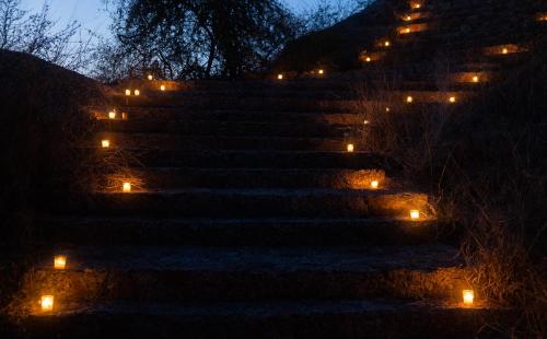 472908549 The Rawla Narlai - A Luxury Heritage Stay in Leopard Country