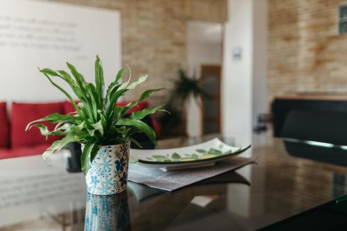 Panphilia: Holiday Apartment in Vasto