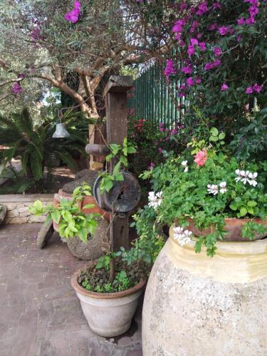 Il Casale Del Cortonese