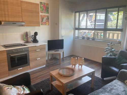 Instalaciones, Zee En Meer in Egmond aan Zee