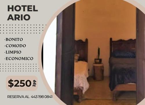 Hotel Ario