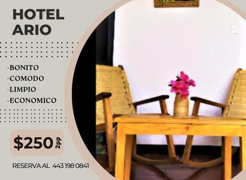 Hotel Ario