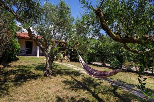 Seaside Nest Marathopoli