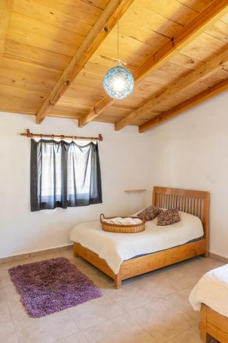 Casa Hostal- Cozy Calpulli