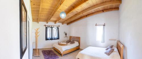 Casa Hostal- Cozy Calpulli