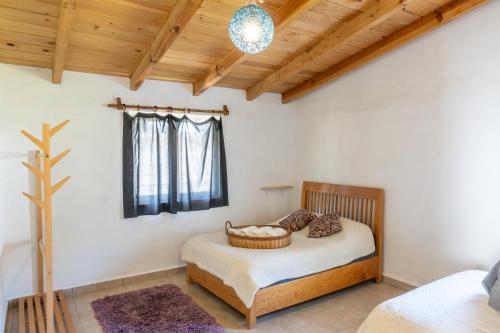 Casa Hostal- Cozy Calpulli