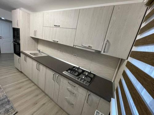 Apartament regim hotelier - Apartment - Caransebeş