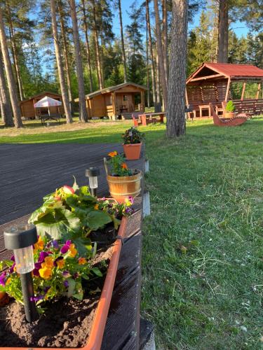 A house with a sauna at Arturs in Viitna
