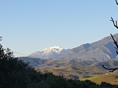 Finca Las Rocas - Rocasita