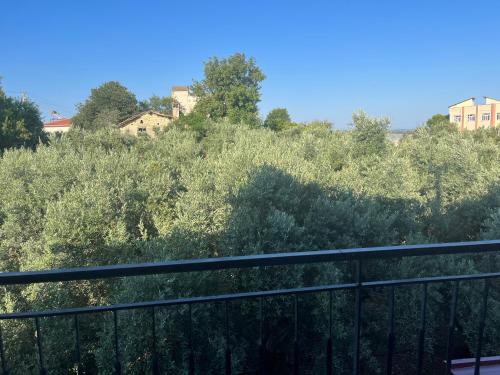 Inside olive trees, 7 min to sea