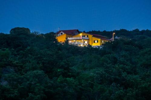 Luxury villa Cvita