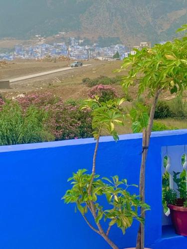 house naim house naim