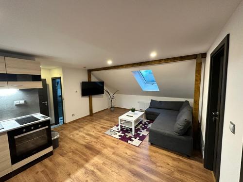 Seadmed, Apartmány KŘENOV (Apartmany KRENOV) in Bernartice