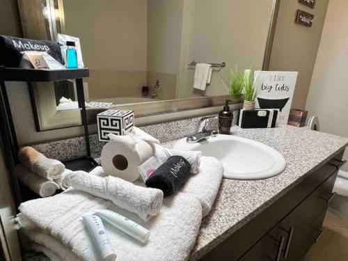 Enchanting Luxury 2/2 Amenities in Houston, USA